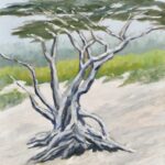 27670 Carmel Beach Cypress 20x16 Oil