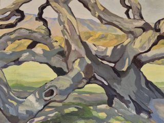 MOTHER OAK - 16" x 20" - OIL on linen panel - $650..