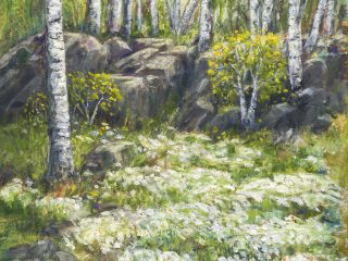 DAISIES AMONG THE BIRCH. SOLD.