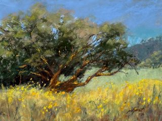 Golden Tones - Pastel - 9" x12".