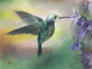 Hummingbird for Jessica