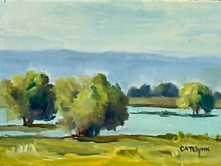 MY FAVORITE WETLANDS - Oil - 5"x7" - $325. The "soft eyes" beauty of the I-5, near Bakersfield. I love the space, the light, and colors of these beautiful vernal wetlands, right along the freeway.