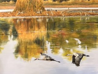 MORNING FLIGHT, MERCED NWR - Oils - 36x36 - $3,000