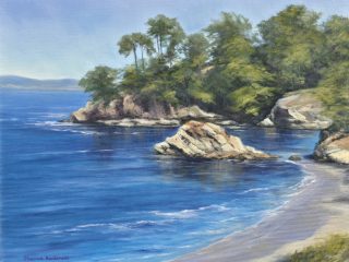 PT. LOBOS WHALE'S COVE