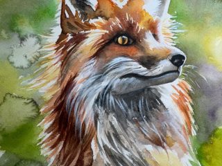 RED FOX - 8.5 x 11- $275 - Watercolor on 140lb watercolor paper. Unframed.