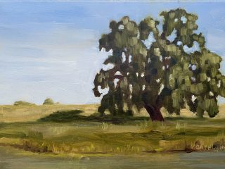 WETLANDS SENTINEL keeping watch over the marshlands.